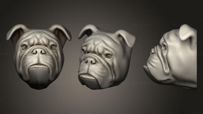 Masks and muzzles of animals (Bulldog, MSKJ_0404) 3D models for cnc